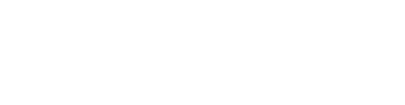 Zettawise COnsulting Logo